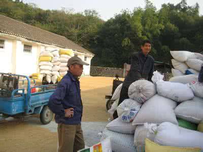 152戶(hù)農(nóng)民賣(mài)糧因地磅被做手腳被坑 商販補(bǔ)償5.82萬(wàn)元